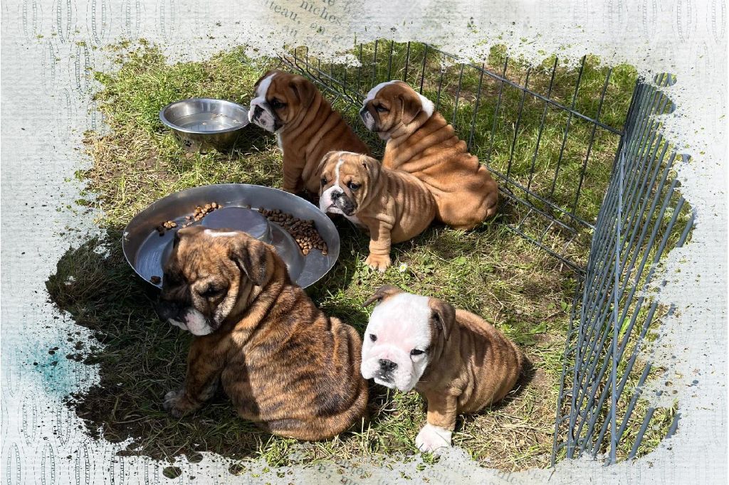 5 Magnifiques bébés LOF